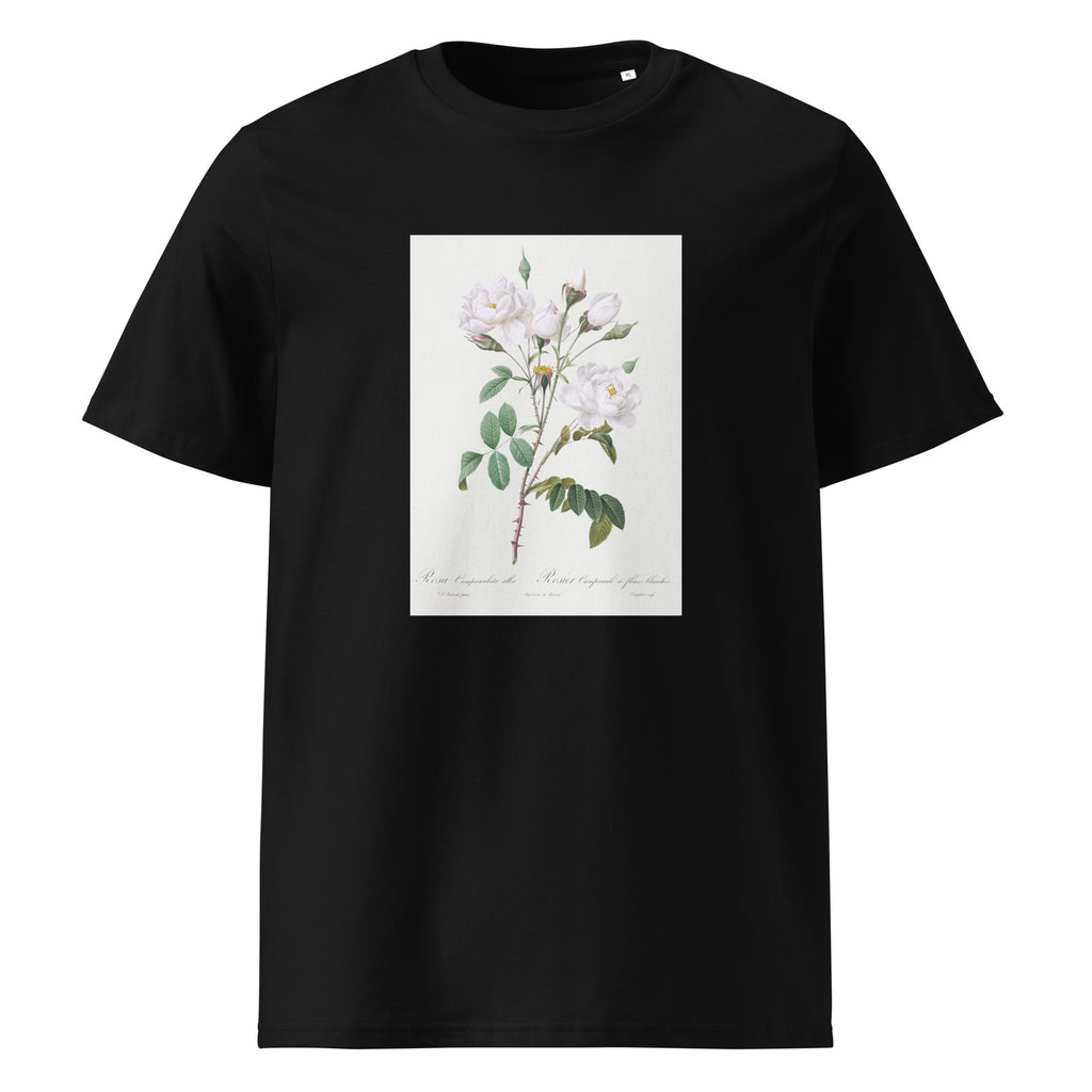 Black T-shirt Rosa Campanulata Alba Also Known As Pink Bellflowers To White Flowers Premium