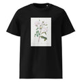 Black T-shirt Rosa Campanulata Alba Also Known As Pink Bellflowers To White Flowers Premium