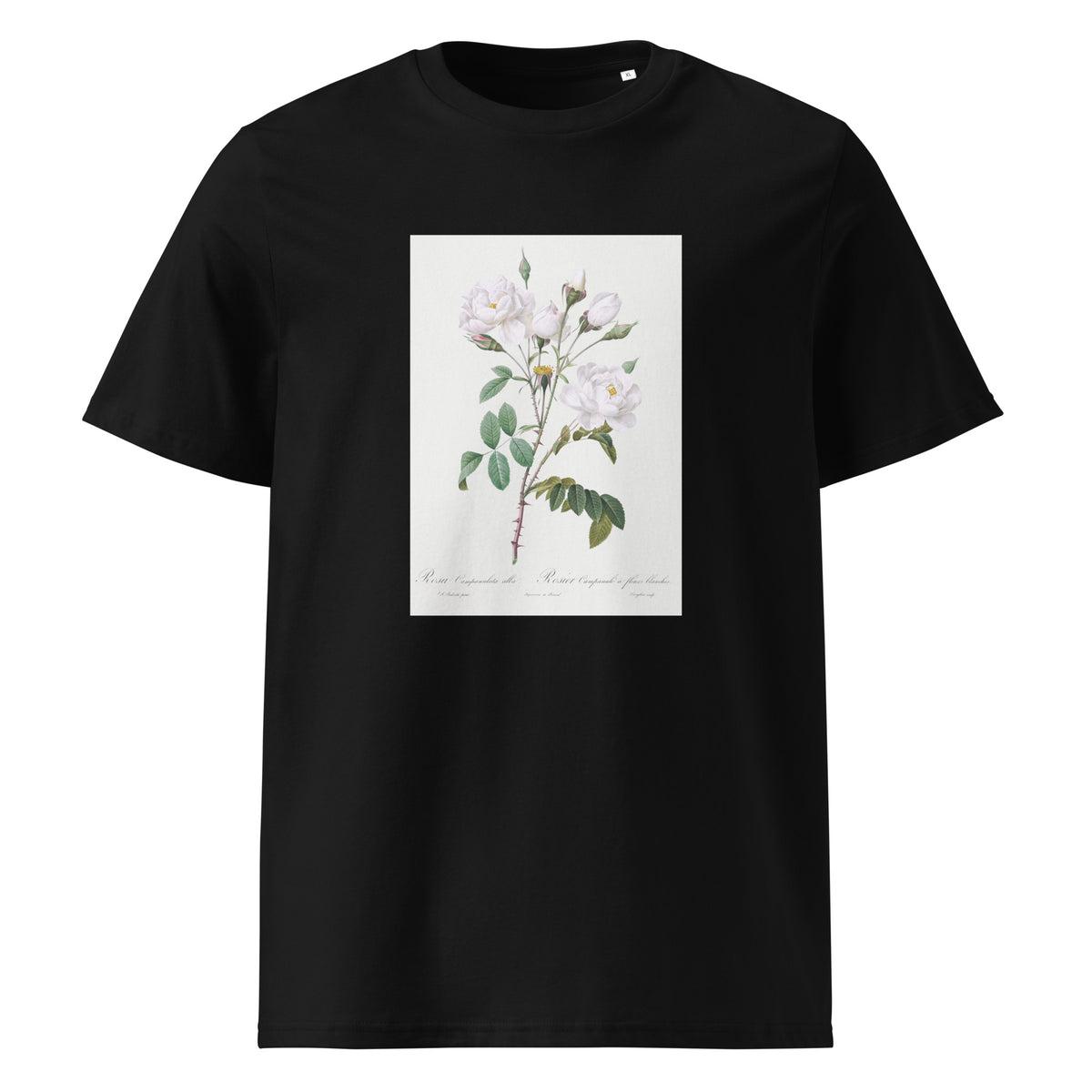 Black T-shirt Rosa Campanulata Alba Also Known As Pink Bellflowers To White Flowers Premium
