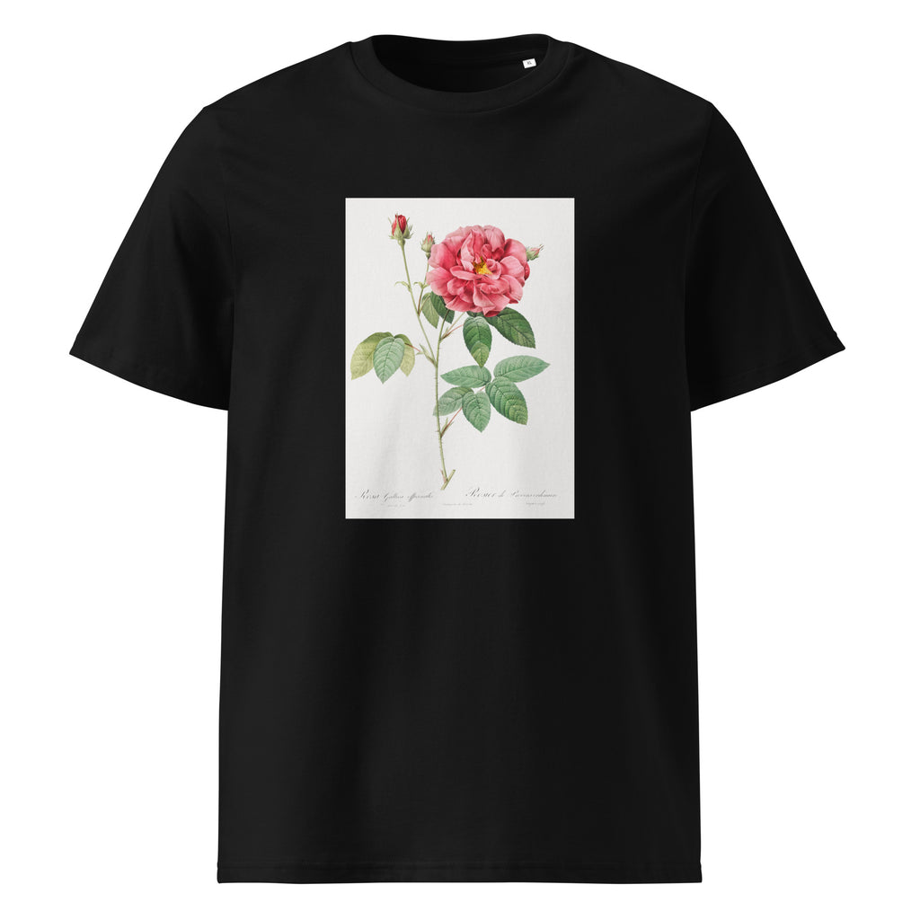 Black T-shirt French Rose Also Known As Ordinary Provins Rosebush Rosa Galluca Offuenalis Premium