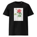 Black T-shirt French Rose Also Known As Ordinary Provins Rosebush Rosa Galluca Offuenalis Premium