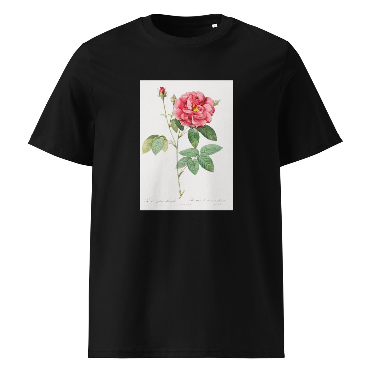 Black T-shirt French Rose Also Known As Ordinary Provins Rosebush Rosa Galluca Offuenalis Premium