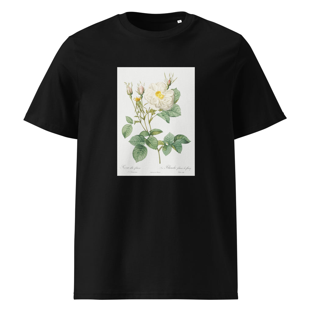 Black T-shirt Rosa X Alba Also Known As The White Leaf Of Fleury Rosa Alba Foliacea Premium