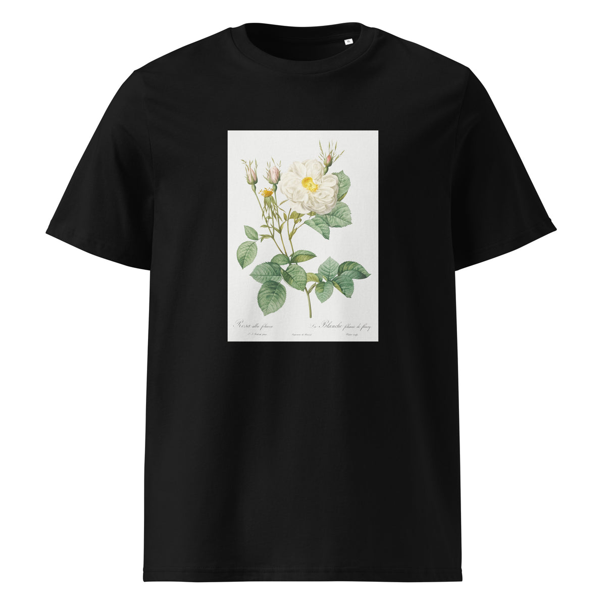 Black T-shirt Rosa X Alba Also Known As The White Leaf Of Fleury Rosa Alba Foliacea Premium
