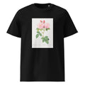 Black T-shirt Italian Damask Rose Also Known As The Four Seasons Of Italy Rosa Damascena Italica Premium