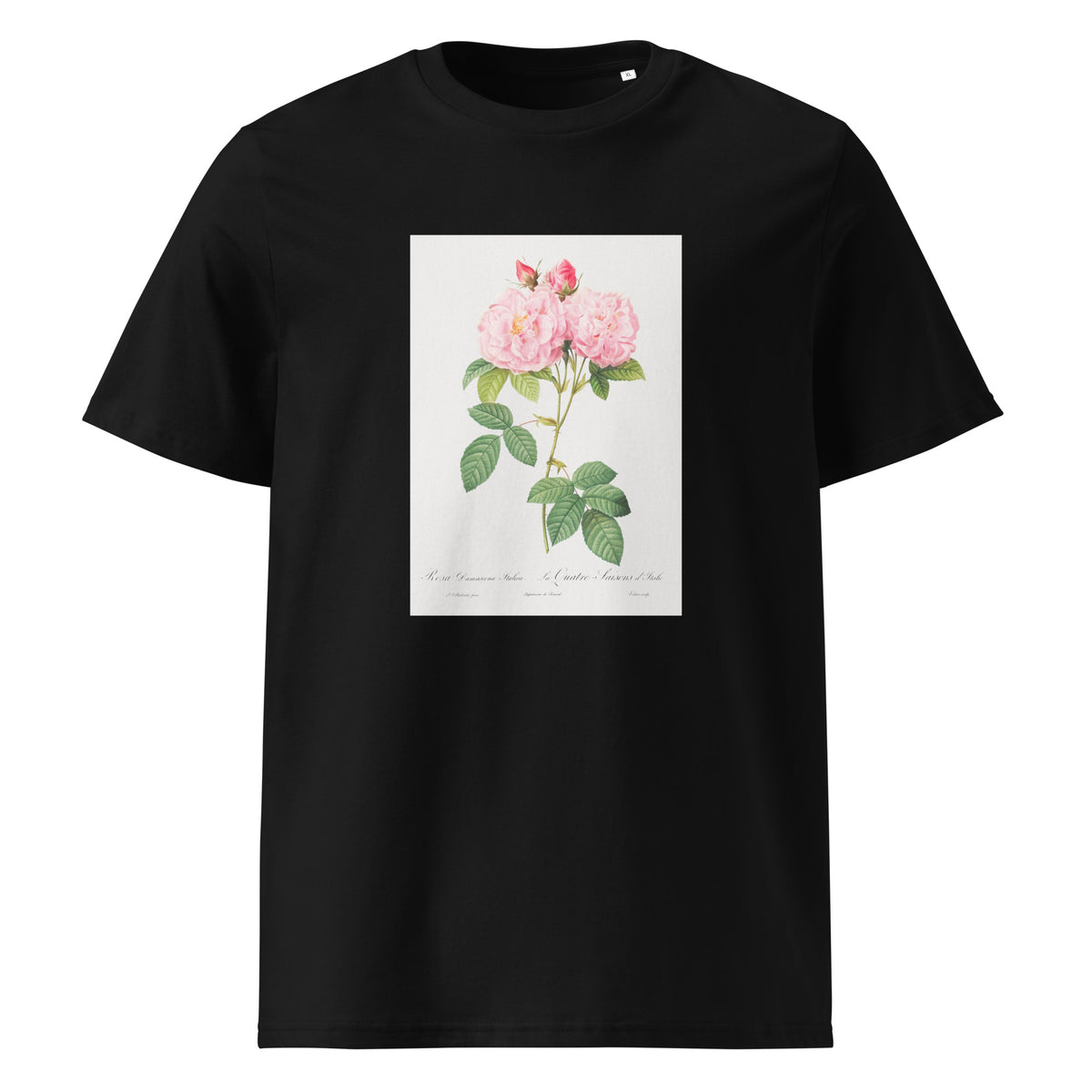 Black T-shirt Italian Damask Rose Also Known As The Four Seasons Of Italy Rosa Damascena Italica Premium
