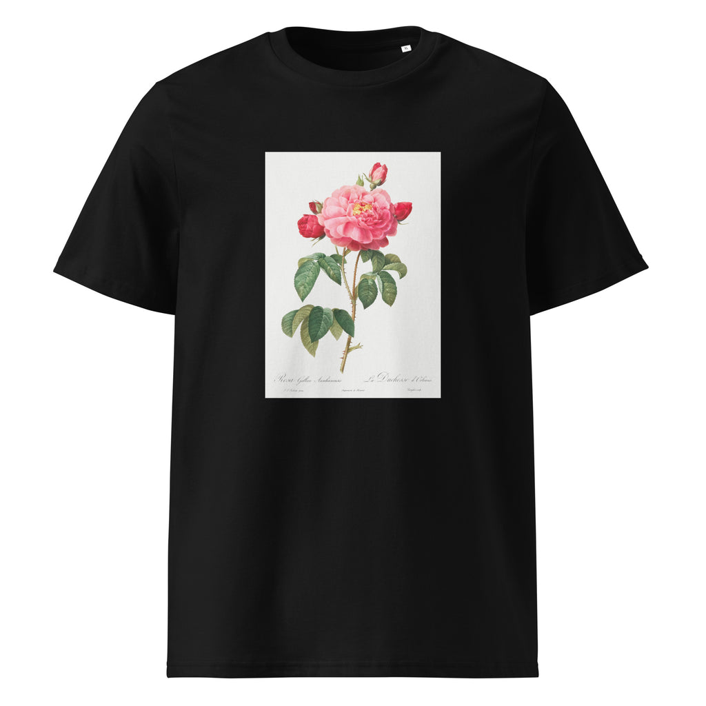 Black T-shirt Gallic Rose Also Known As The Duchess Of Orleans Rosa Gallica Aurelianensis Premium