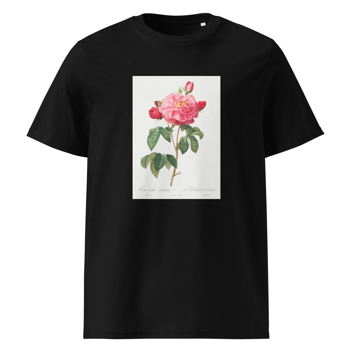 Black T-shirt Gallic Rose Also Known As The Duchess Of Orleans Rosa Gallica Aurelianensis Premium