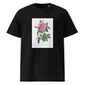 Black T-shirt Gallic Rose Rosa Gallica Regalis Premium