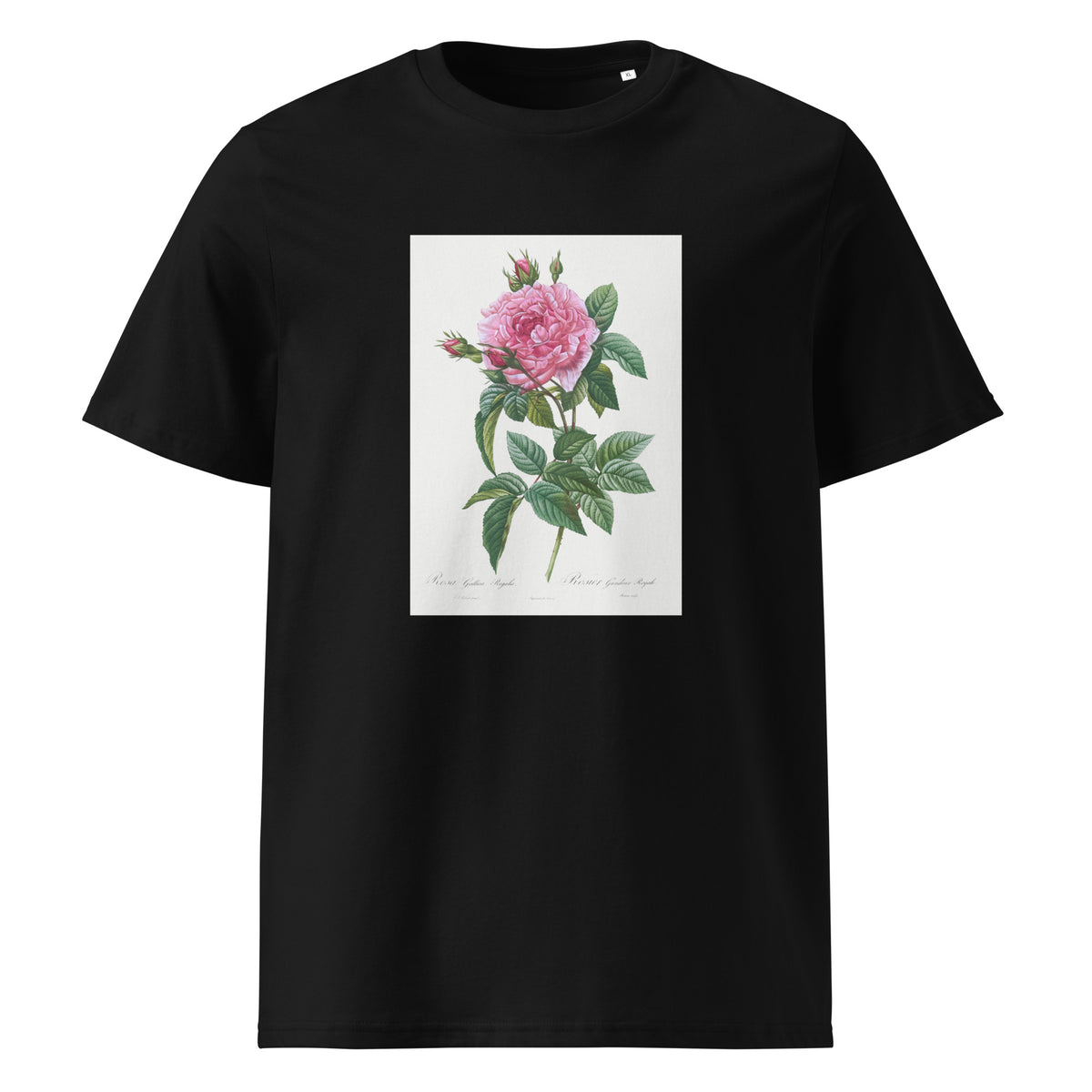 Black T-shirt Gallic Rose Rosa Gallica Regalis Premium