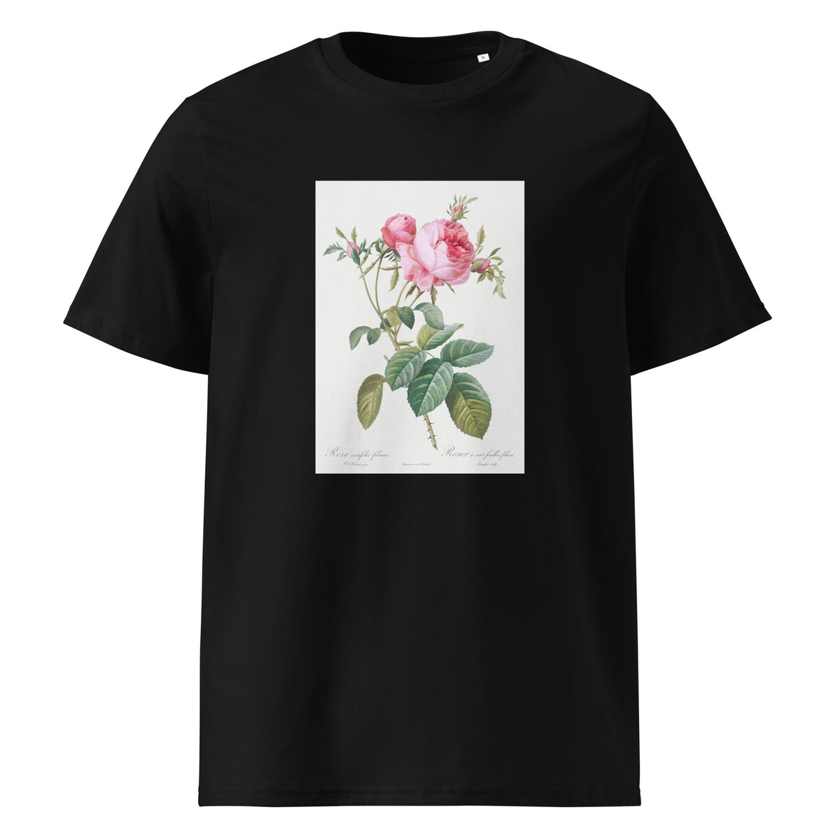 Black T-shirt Rose De Mai Rosa Centifolia Foliacea Premium