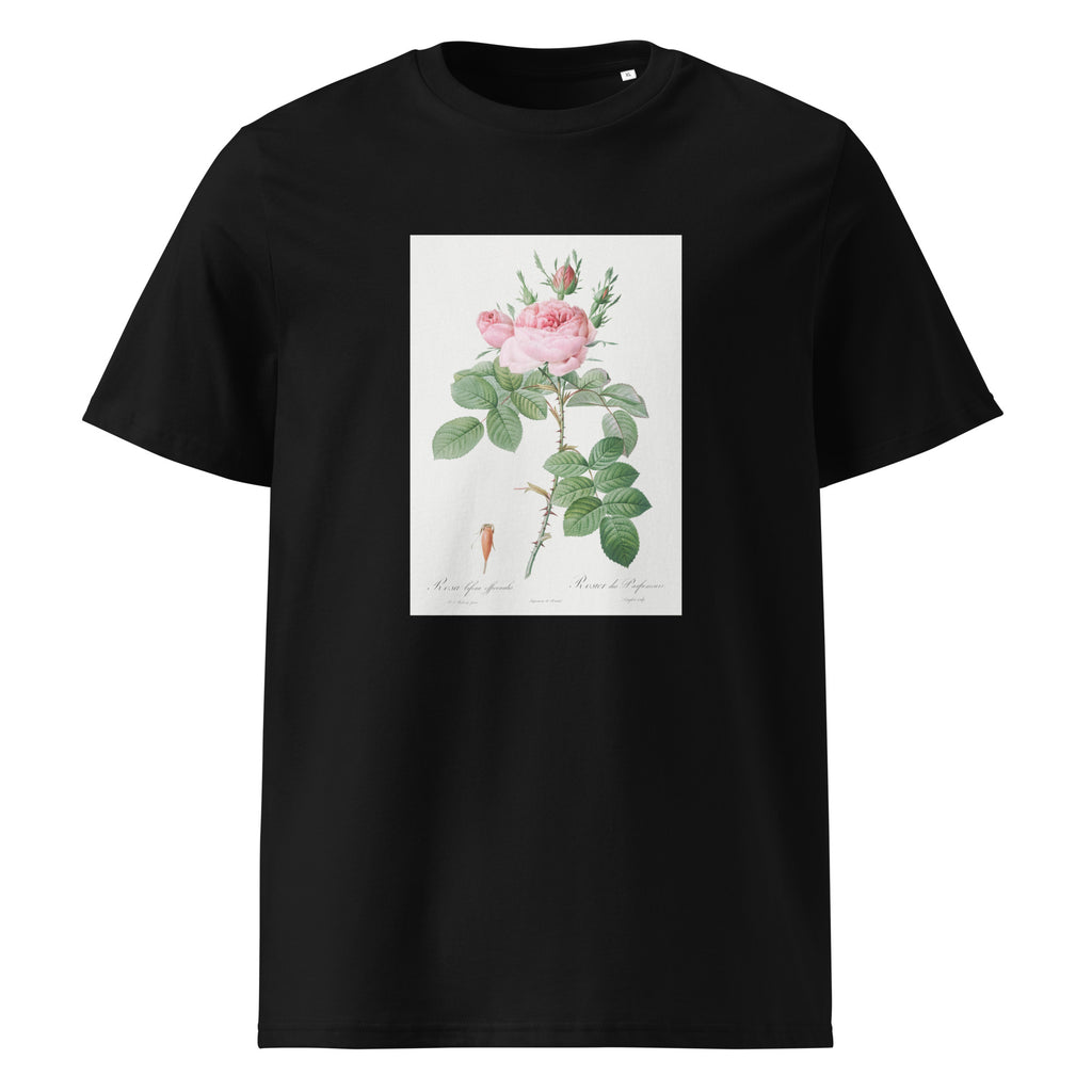 Black T-shirt Rosa Bifera Officinalis Also Known As Rose Of Perfume Premium