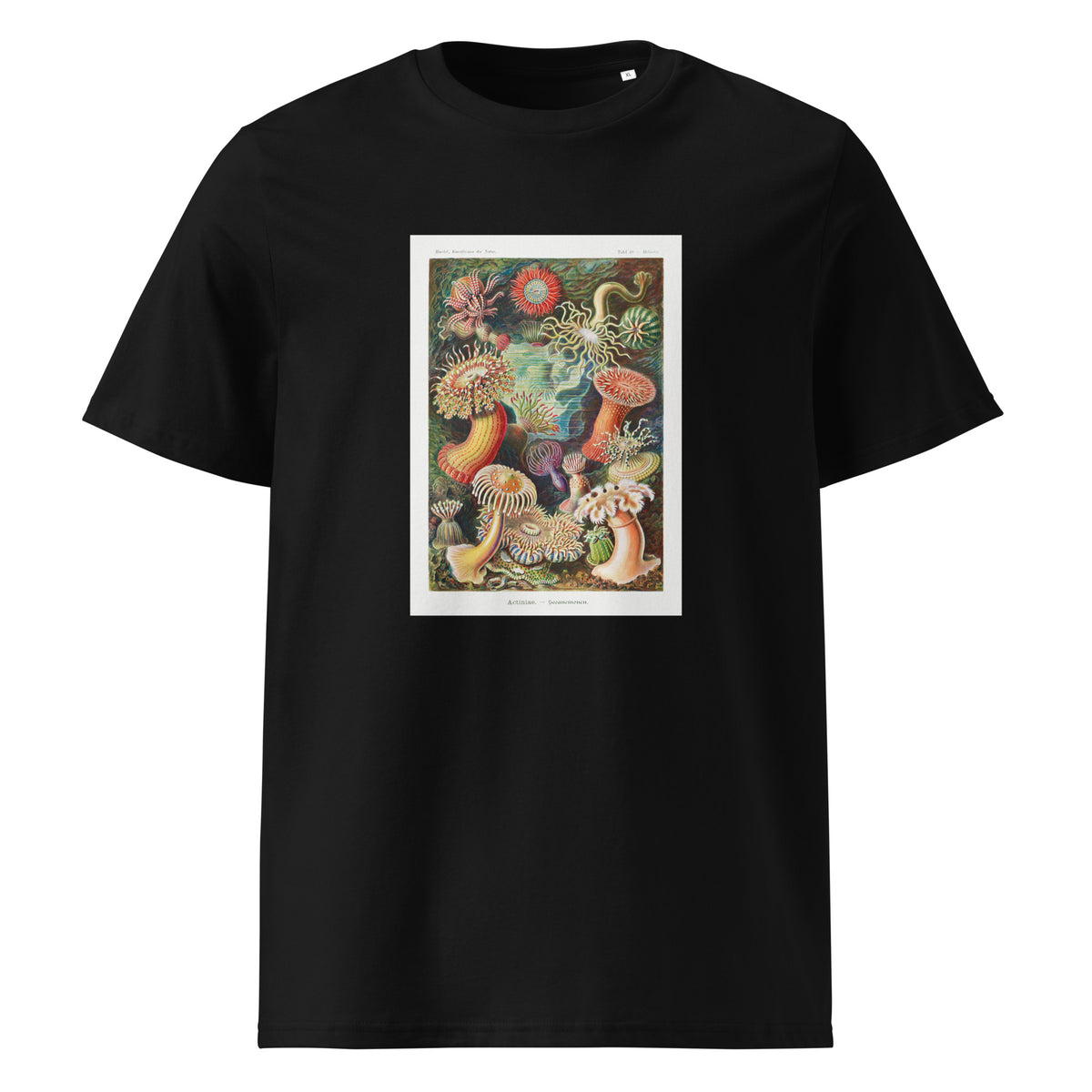 Black T-shirt Actiniae Seeanemonen Premium