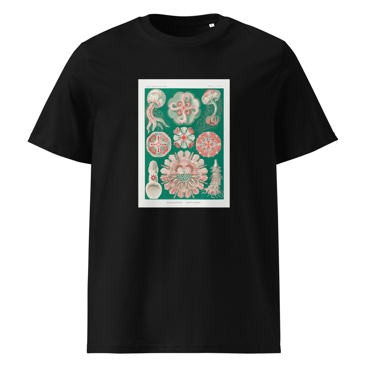 Black T-shirt Discomedusae Schweibenquallen Premium