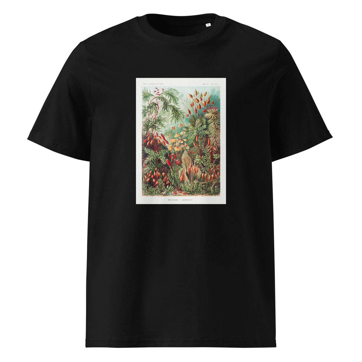 Black T-shirt Muscinae Laubmoose A Giltsch Gem Premium
