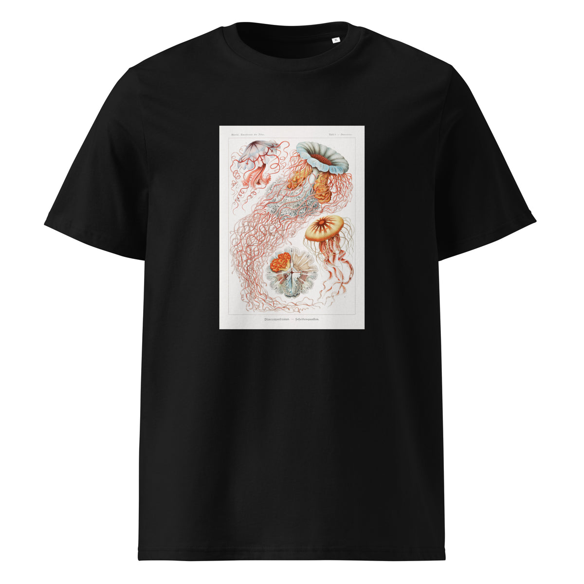 Black T-shirt Discomedusae Scheibenquallen Premium