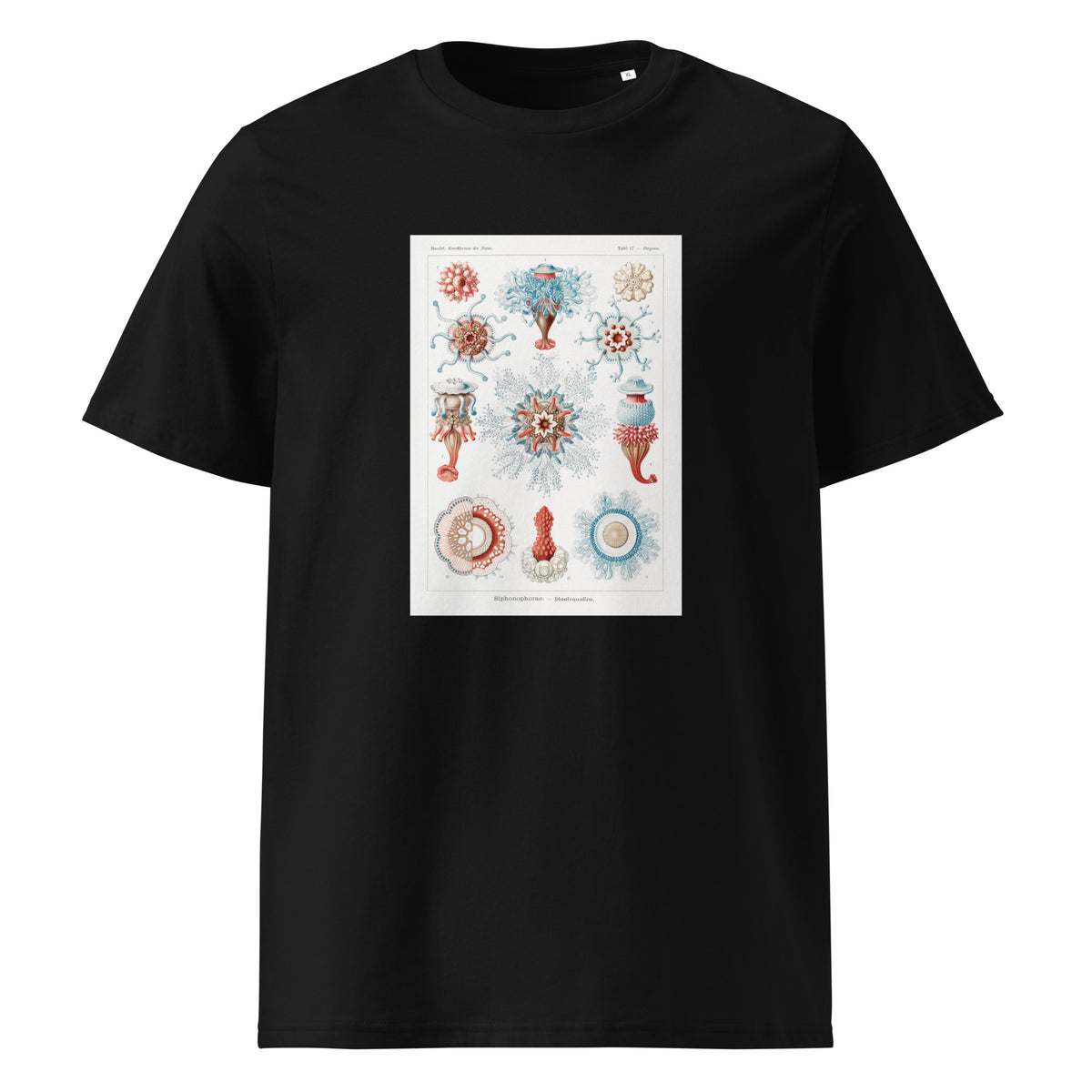 Black T-shirt Siphonophorae Staatsquallen Premium