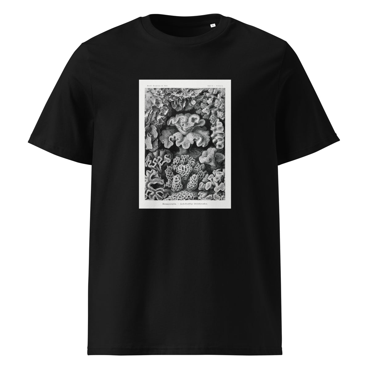 Black T-shirt Hexacoralla Sechsstrahlige Sternkorallen Premium