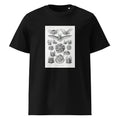 Black T-shirt Chiroptera Fledertiere Premium