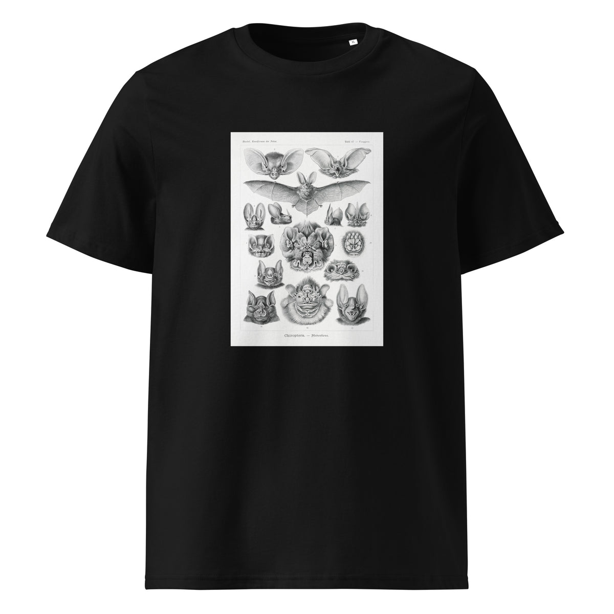 Black T-shirt Chiroptera Fledertiere Premium