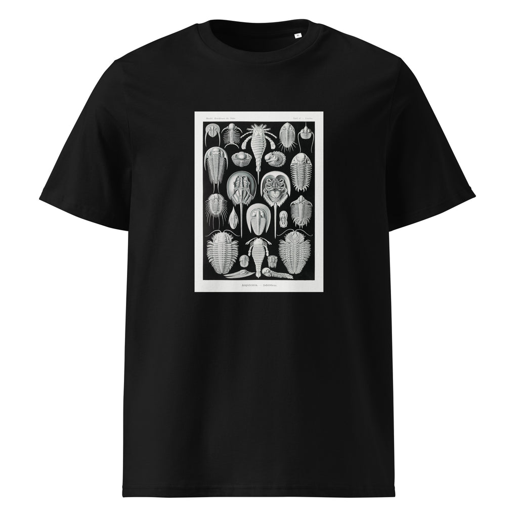 Black T-shirt Aspidonia Schildtiere Premium