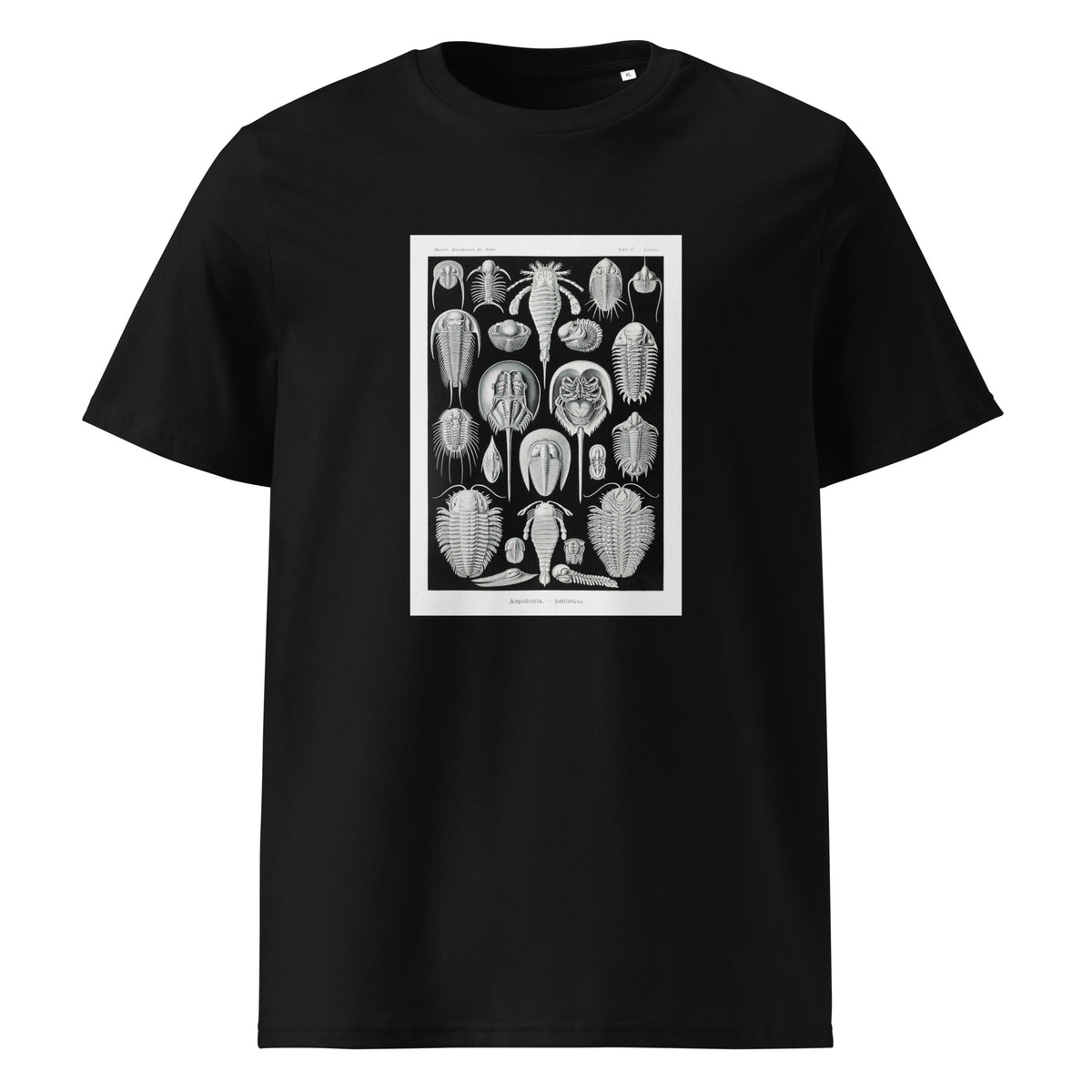 Black T-shirt Aspidonia Schildtiere Premium