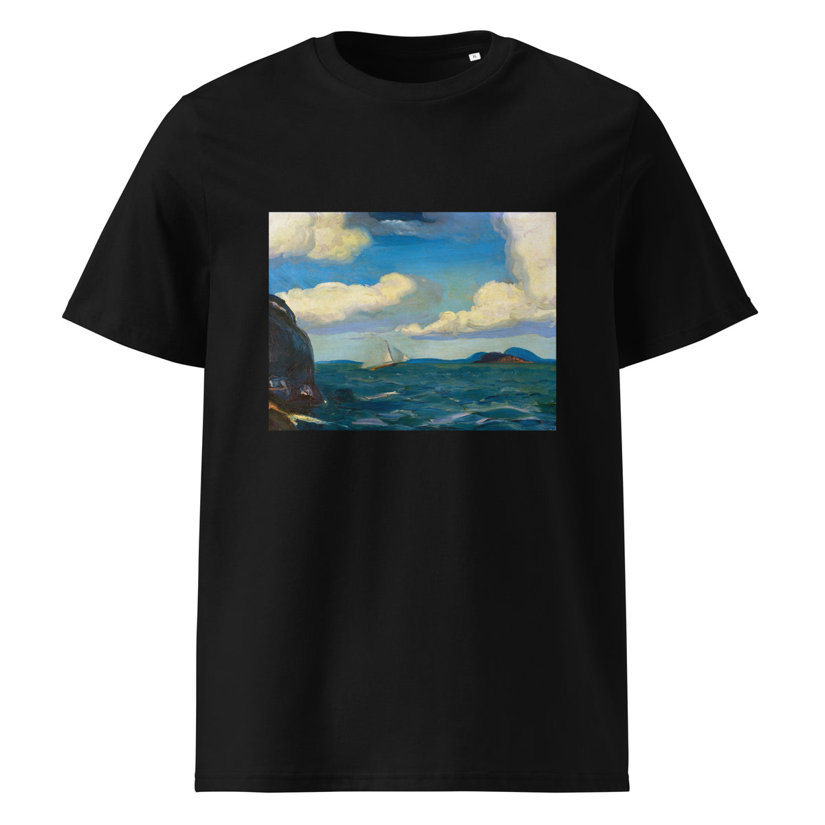 Black T-shirt A Fresh Breeze Premium
