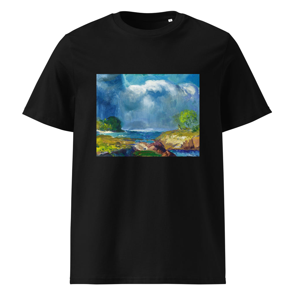 Black T-shirt The Coming Storm Premium