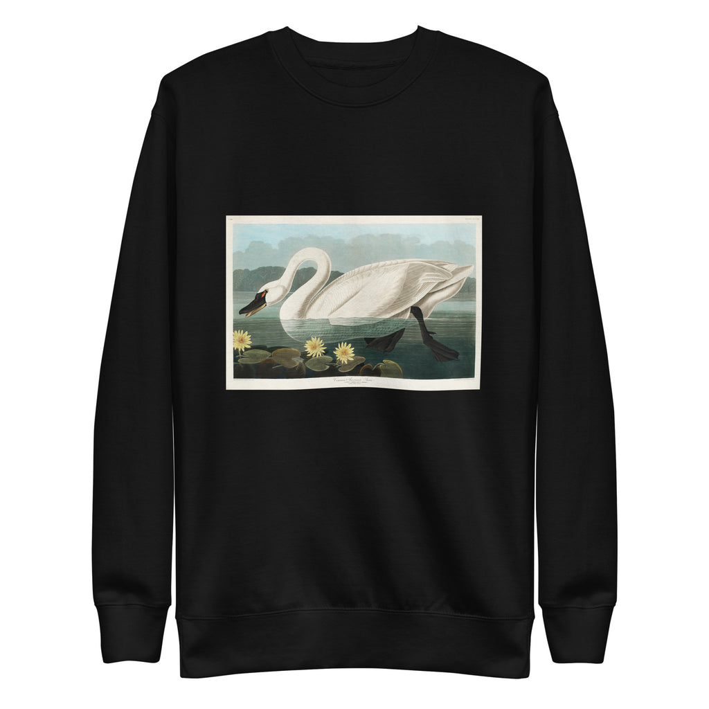 Black Sweater Common American Swan - John James Audubon 1827 Signature