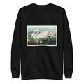Black Sweater Common American Swan - John James Audubon 1827 Signature
