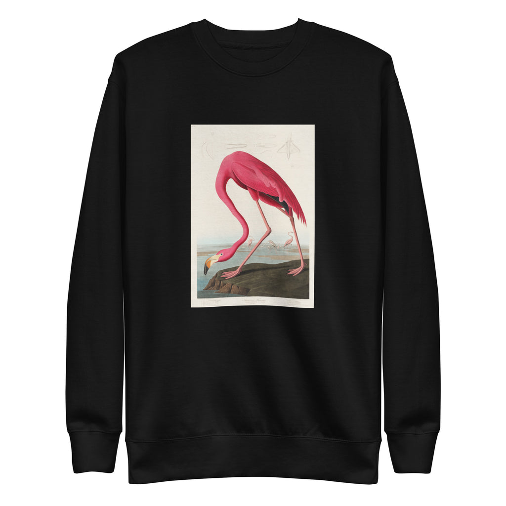 Black Sweater Pink Flamingo - John James Audubon 1827 Signature