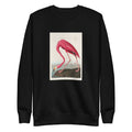 Black Sweater Pink Flamingo - John James Audubon 1827 Signature
