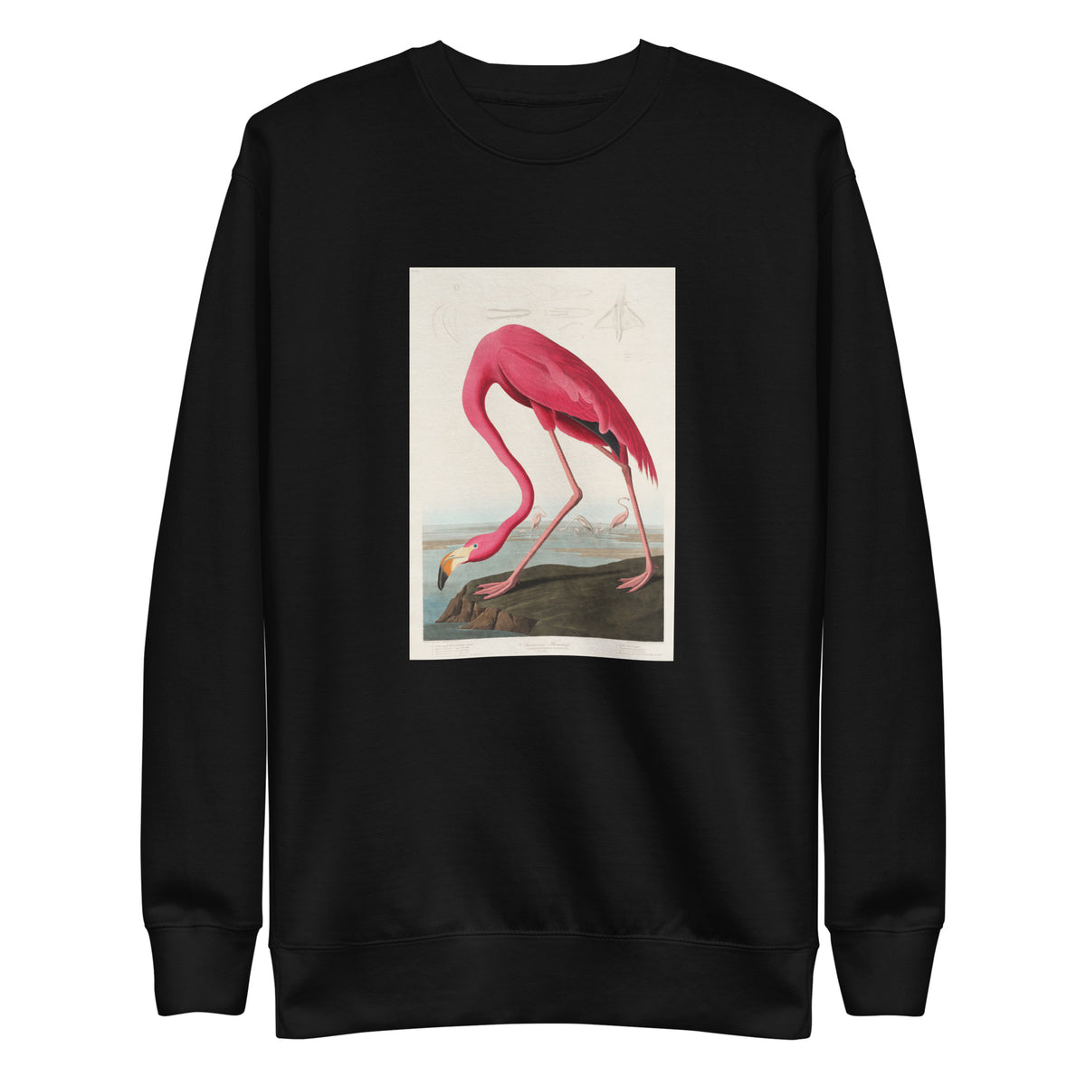Black Sweater Pink Flamingo - John James Audubon 1827 Signature