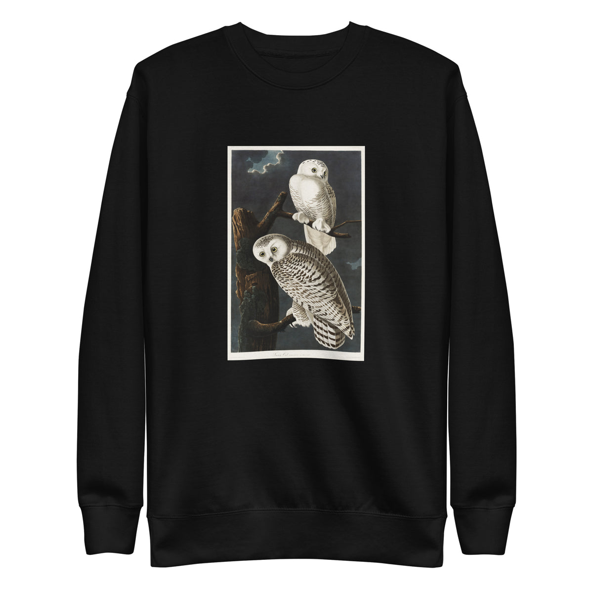 Black Sweater Snowy Owl Signature