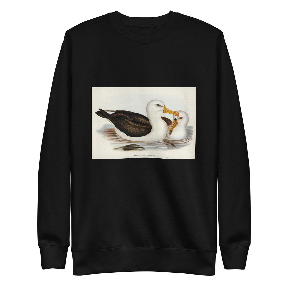 Black Sweater Black-Eyebrowed Albatros Diomedea Melanophrys Illustrated - Elizabeth Gould 1804 Signature
