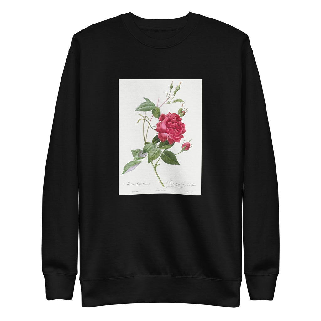 Black Sweater Blood-Red Bengal Rose Rosa Indica Cruneta Signature