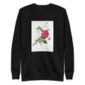 Black Sweater Blood-Red Bengal Rose Rosa Indica Cruneta Signature