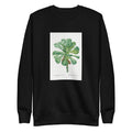 Black Sweater Sempervivum Canariense Image Signature