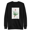 Black Sweater Aloe Socotrina Image Signature