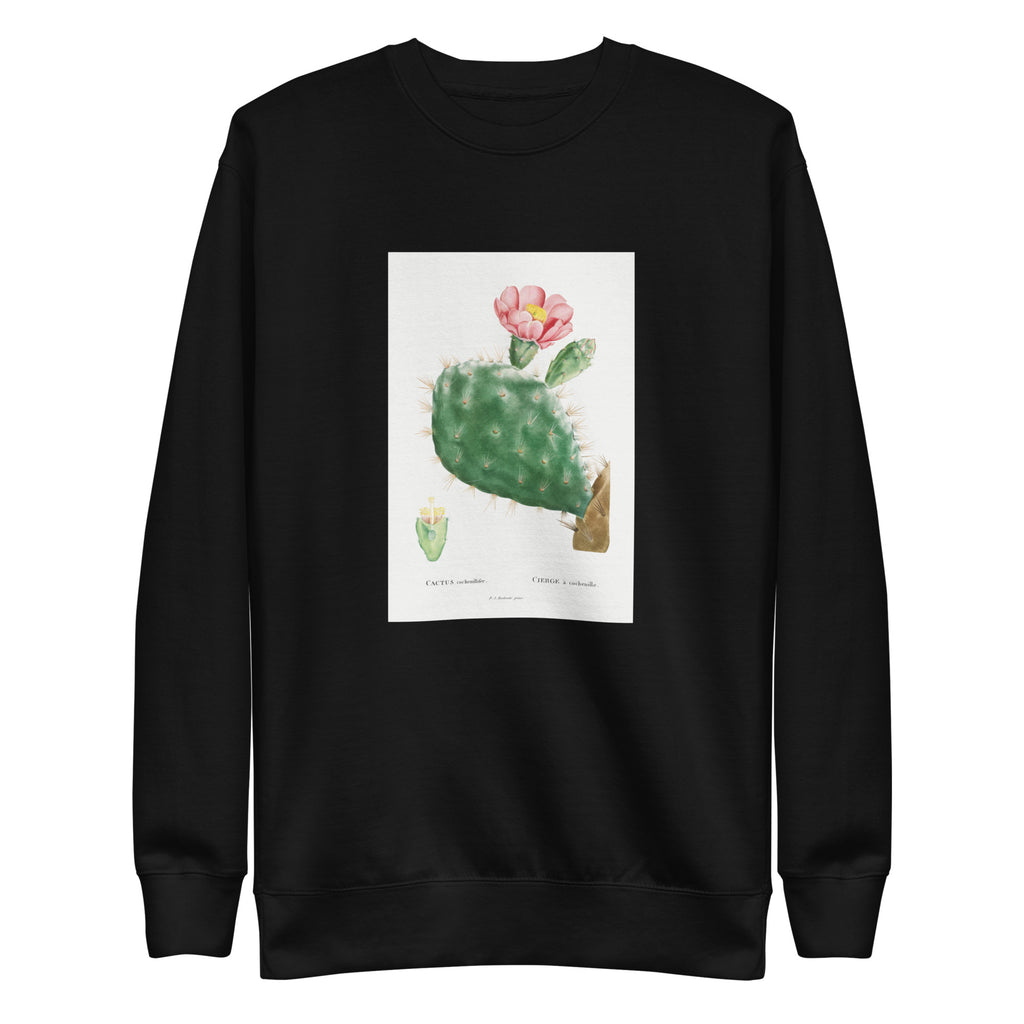 Black Sweater Cactus Cochenillifer Image Signature