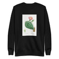 Black Sweater Cactus Cochenillifer Image Signature