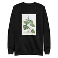 Black Sweater Plectranthus Fruticosus Image - Pierre-Joseph Redoute And Charles Louis 1784 Signature