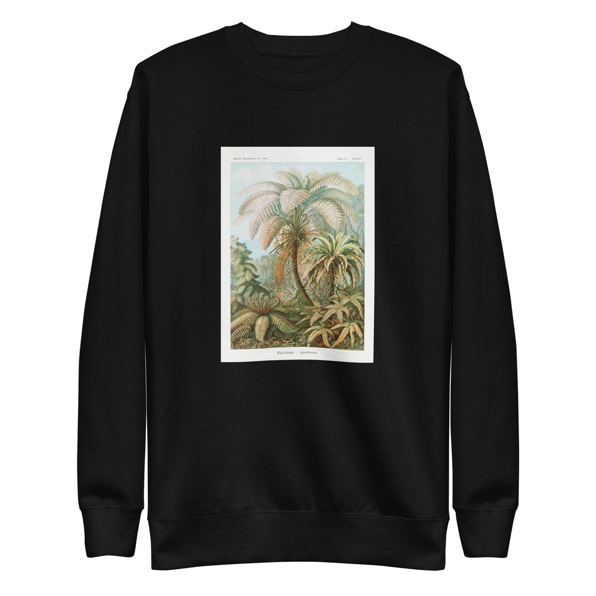 Black Sweater Filicinae Laubfarne Signature