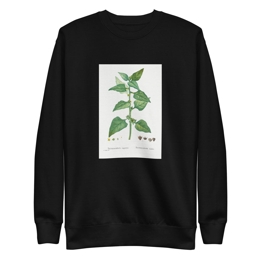 Black Sweater Tetragonia Expansa New Zealand Spinach Signature