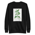 Black Sweater Tetragonia Expansa New Zealand Spinach Signature