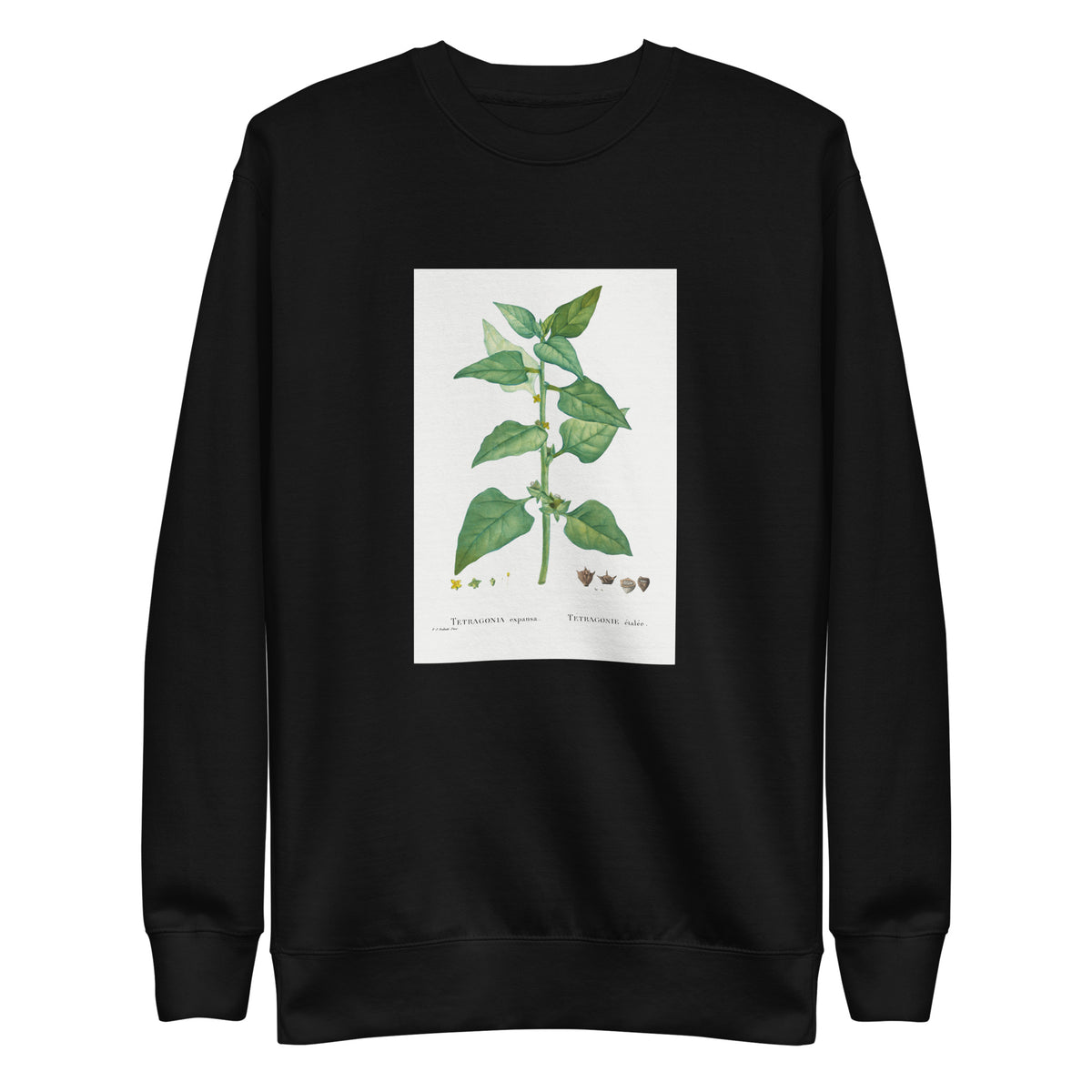 Black Sweater Tetragonia Expansa New Zealand Spinach Signature