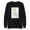 Black Sweater Mesembryanthemum Helianthoides Spatula Leaved Fig Marigold - Pierre-Joseph 1799 Signature