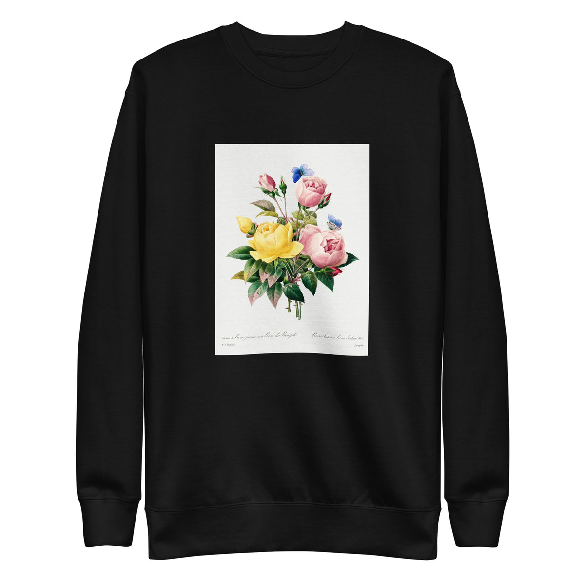 Black Sweater Yellow Rose And Cabbage Rose - Pierre-Joseph Redoute 1759 Signature