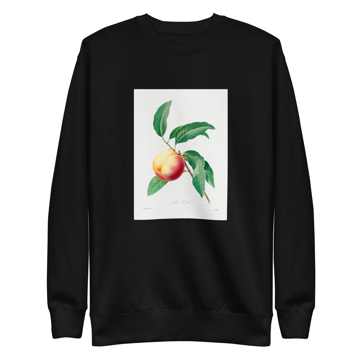 Black Sweater Peach Fruit On A Branch - Pierre-Joseph Redoute 1759 Signature