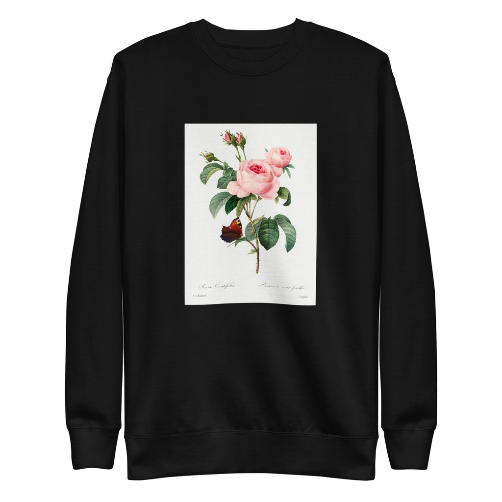 Black Sweater Cabbage Rose - Pierre-Joseph Redoute 1759 Signature